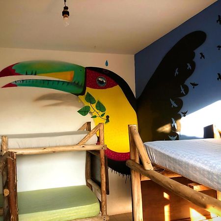 Katsbarnea Hostel Florianópolis Esterno foto