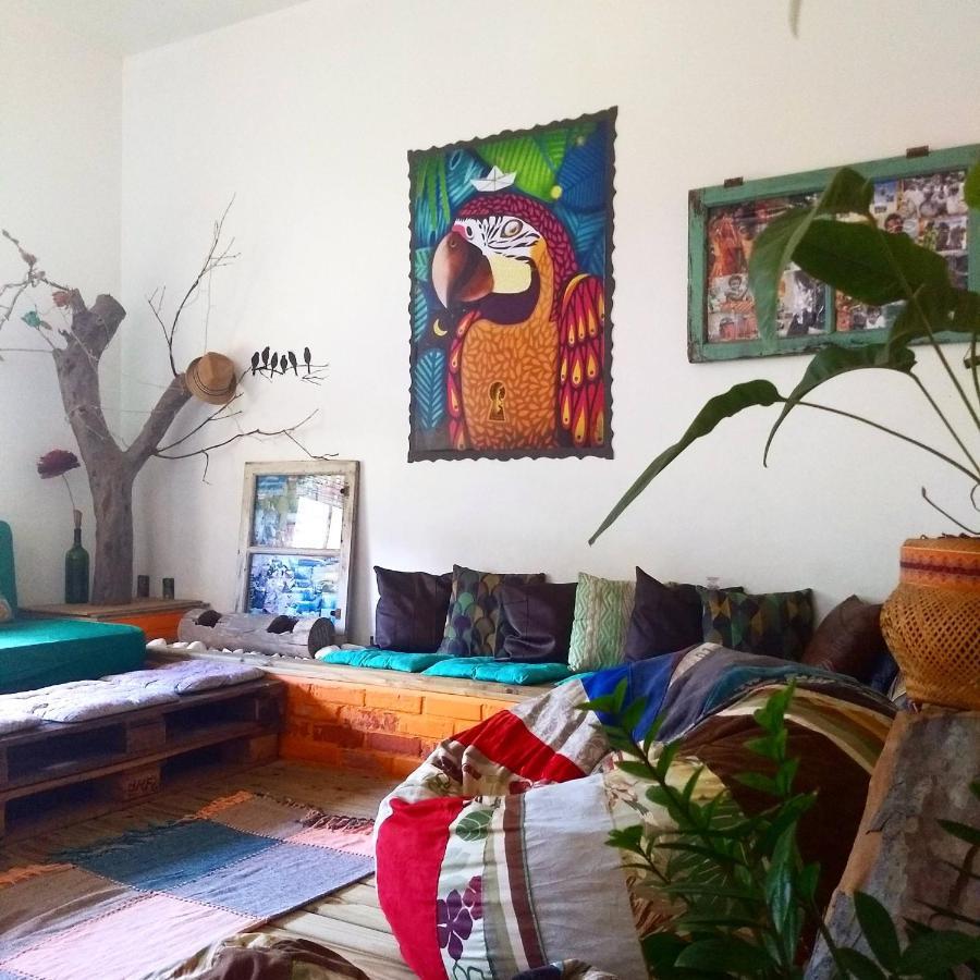 Katsbarnea Hostel Florianópolis Esterno foto